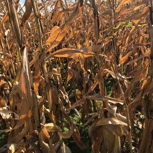 Meet your Posher, Erika